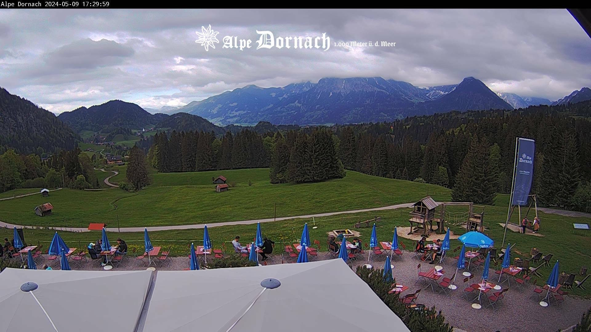 Webcam Alpe Dornach