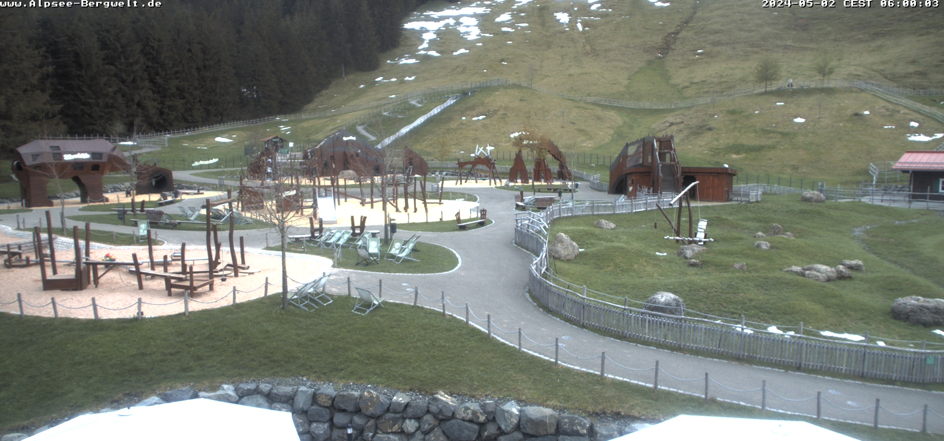 Webcam Alpsee Bergwelt