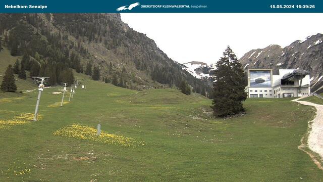 Webcam Nebelhorn-Seealpe