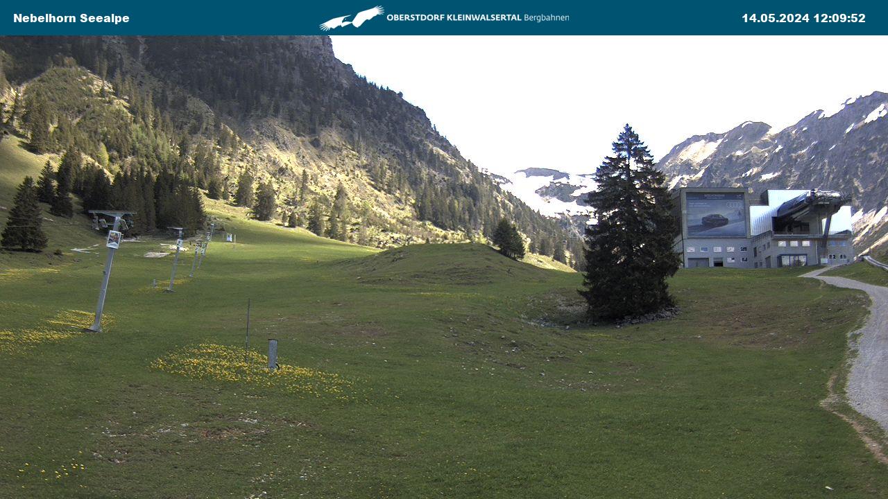 Webcam Nebelhorn: Seealpe